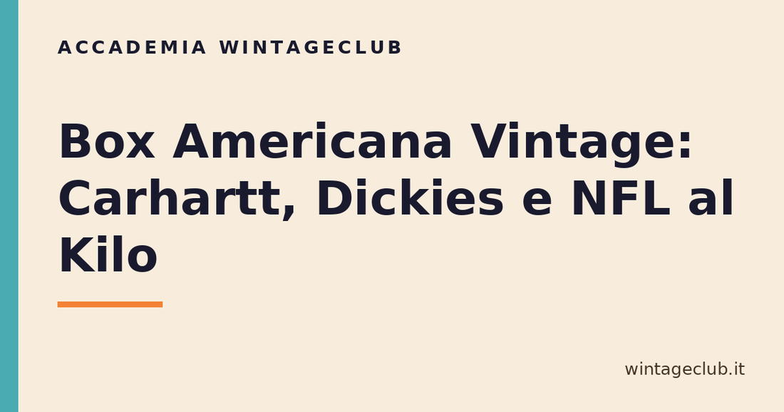 Guida Box Americana vintage al kg — Accademia WintageClub per rivenditori vintage