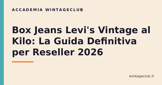 Guida box jeans Levi's vintage al kilo — Accademia WintageClub per rivenditori vintage