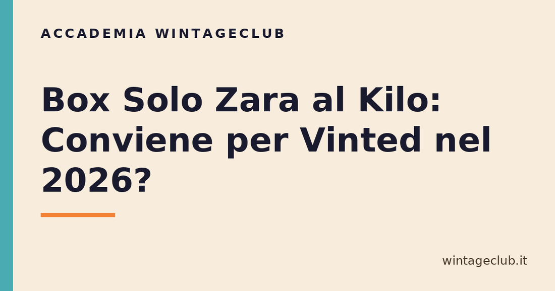 Guida Box Solo Zara al kilo per Vinted — Accademia WintageClub per rivenditori vintage
