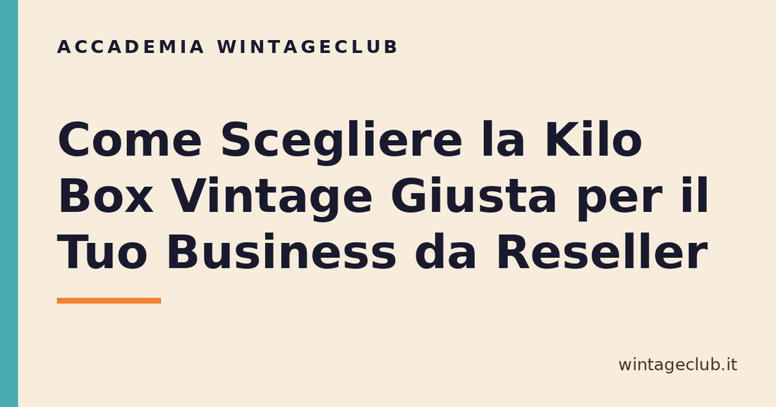Guida come scegliere la kilo box vintage giusta — Accademia WintageClub per rivenditori vintage
