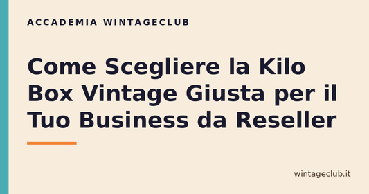 Guida come scegliere la kilo box vintage giusta — Accademia WintageClub per rivenditori vintage