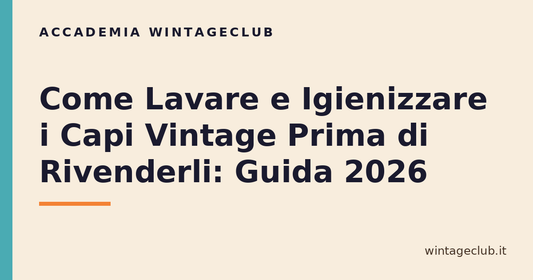 Guida lavare e igienizzare capi vintage — Accademia WintageClub per rivenditori vintage