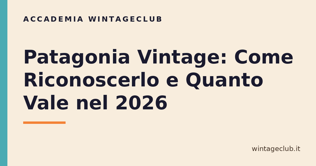 Guida Patagonia vintage: come riconoscerlo e quanto vale — Accademia WintageClub